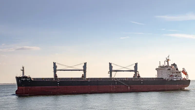 PACIFIC VALOR Bulk Carrier IMO 9712503 photo 9