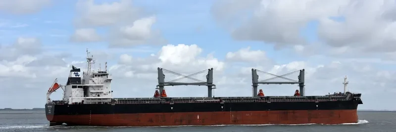 PACIFIC ADVANCE Bulk Carrier IMO 9712515 photo 3