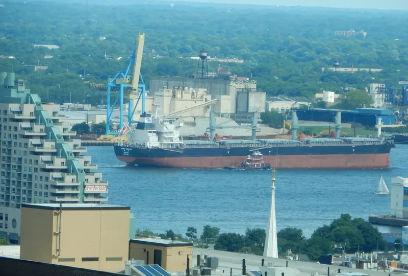 PACIFIC ADVANCE Bulk Carrier IMO 9712515 photo 6