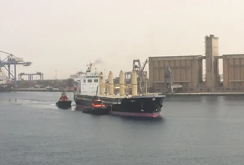 SIBAL Bulk Carrier IMO 9712620 photo 3