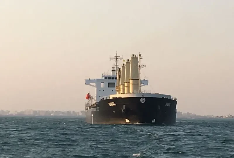 SIBAL Bulk Carrier IMO 9712620 photo 5