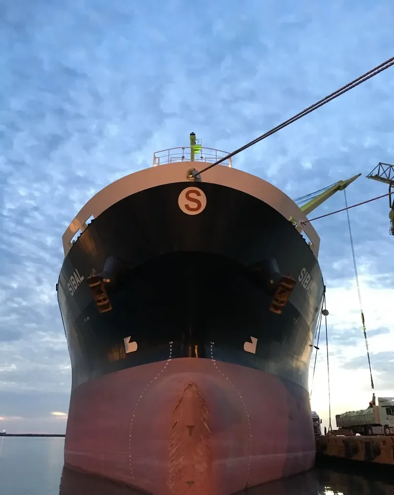 SIBAL Bulk Carrier IMO 9712620 photo 6