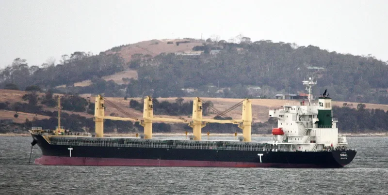 SIBAL Bulk Carrier IMO 9712620 photo 7
