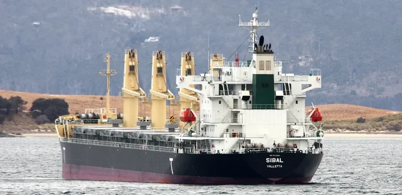 SIBAL Bulk Carrier IMO 9712620 photo 9