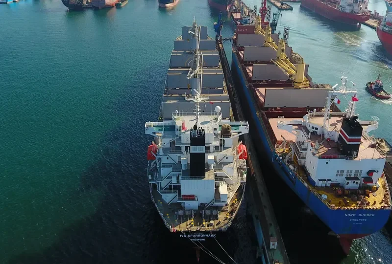 IVS SPARROWHAWK Bulk Carrier IMO 9712656 photo 3