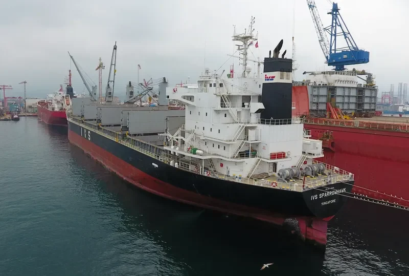 IVS SPARROWHAWK Bulk Carrier IMO 9712656 photo 4