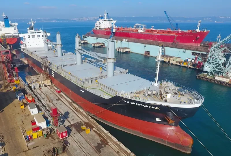 IVS SPARROWHAWK Bulk Carrier IMO 9712656 photo 5