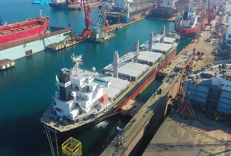 IVS SPARROWHAWK Bulk Carrier IMO 9712656 photo 6