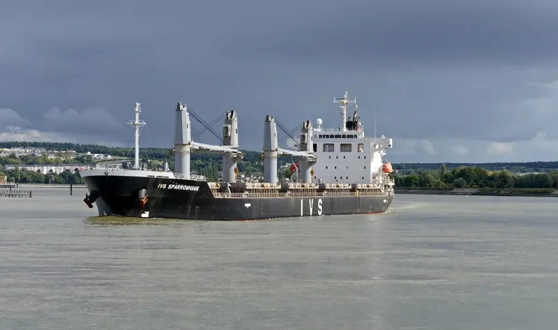 IVS SPARROWHAWK Bulk Carrier IMO 9712656 photo 7
