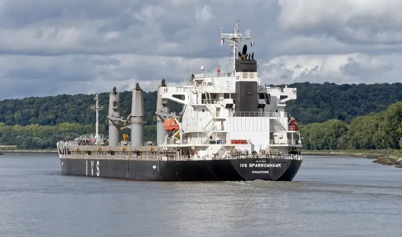 IVS SPARROWHAWK Bulk Carrier IMO 9712656 photo 8