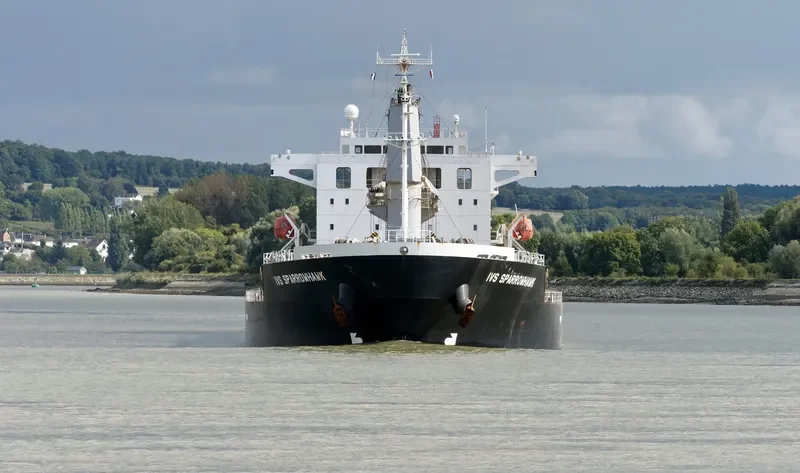 IVS SPARROWHAWK Bulk Carrier IMO 9712656 photo 10