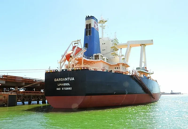 GARGANTUA Bulk Carrier IMO 9712682 photo 3