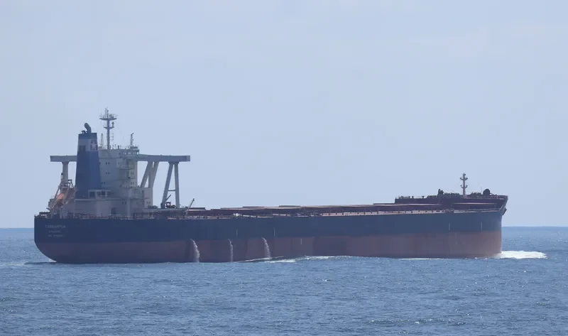 GARGANTUA Bulk Carrier IMO 9712682 photo 5