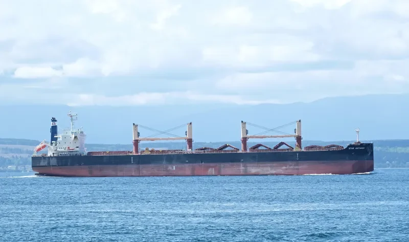 STAR ANTARES Bulk Carrier IMO 9712694 photo 6
