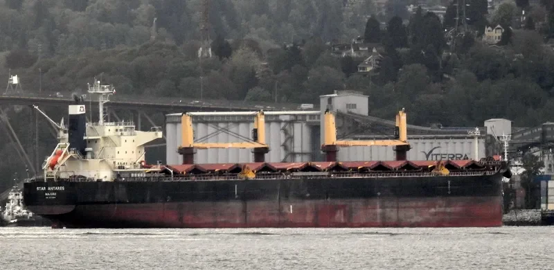 STAR ANTARES Bulk Carrier IMO 9712694 photo 7