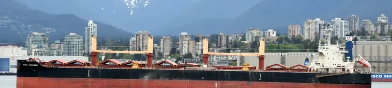 STAR ANTARES Bulk Carrier IMO 9712694 photo 8