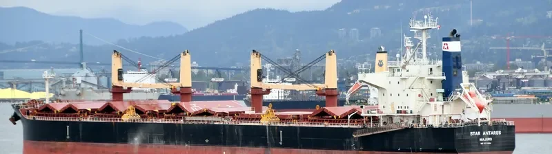 STAR ANTARES Bulk Carrier IMO 9712694 photo 9