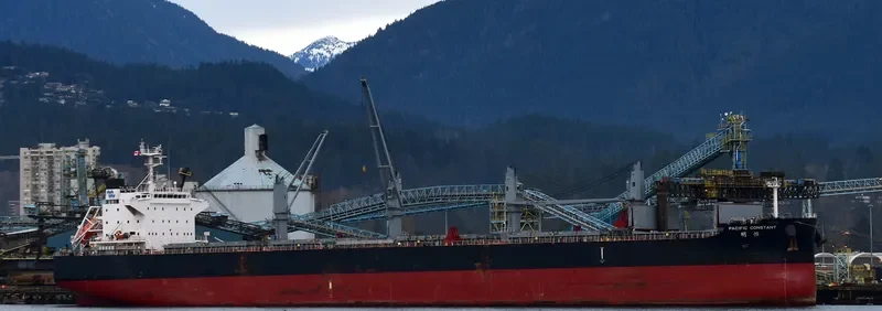 PACIFIC CONSTANT Bulk Carrier IMO 9712888