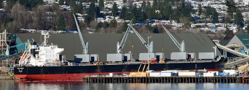 PACIFIC CONSTANT Bulk Carrier IMO 9712888 photo 2