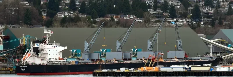 PACIFIC CONSTANT Bulk Carrier IMO 9712888 photo 3