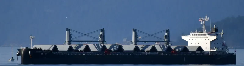 PACIFIC CONSTANT Bulk Carrier IMO 9712888 photo 4