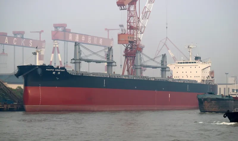 PACIFIC CONSTANT Bulk Carrier IMO 9712888 photo 5