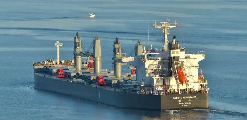 PACIFIC CONSTANT Bulk Carrier IMO 9712888 photo 6