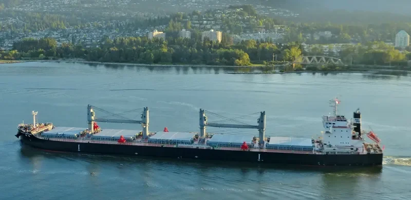 PACIFIC CONSTANT Bulk Carrier IMO 9712888 photo 7