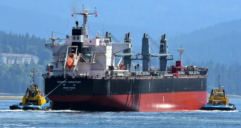 PACIFIC CONSTANT Bulk Carrier IMO 9712888 photo 8