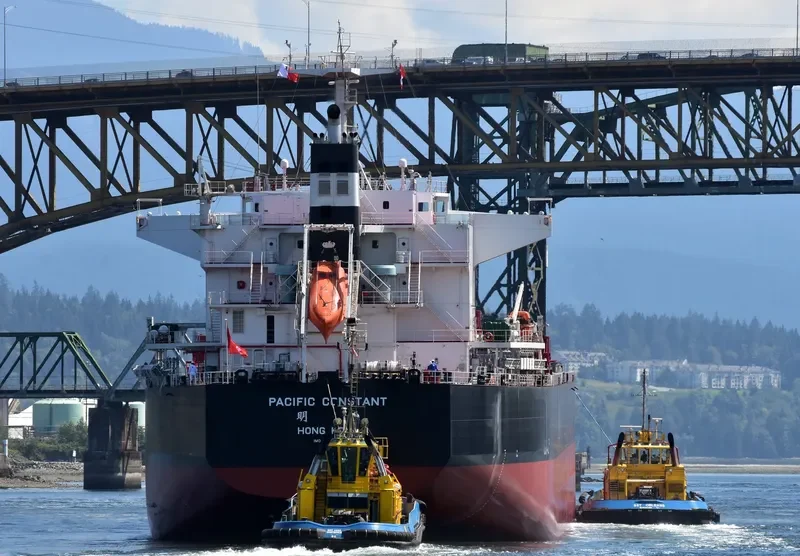PACIFIC CONSTANT Bulk Carrier IMO 9712888 photo 9