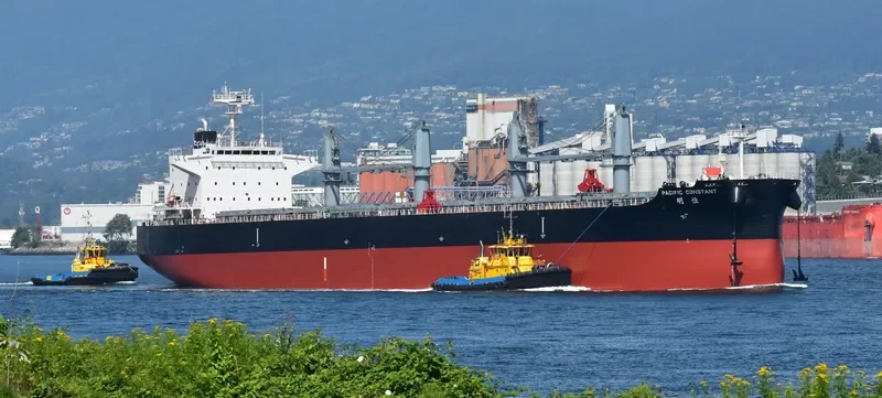 PACIFIC CONSTANT Bulk Carrier IMO 9712888 photo 10