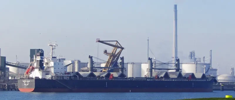 PACIFIC AWARD Bulk Carrier IMO 9712905 photo 2