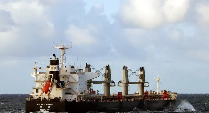 PACIFIC AWARD Bulk Carrier IMO 9712905 photo 3