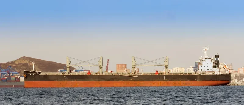 PACIFIC ACHIEVEMENT Bulk Carrier IMO 9712917 photo 4