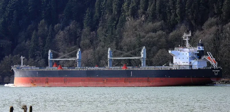 PACIFIC ACHIEVEMENT Bulk Carrier IMO 9712917 photo 6