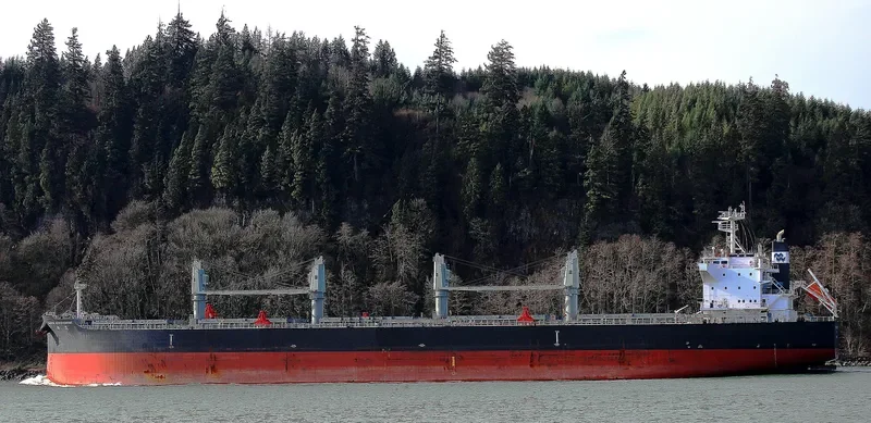 PACIFIC ACHIEVEMENT Bulk Carrier IMO 9712917 photo 7