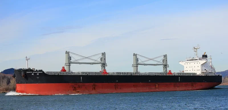 PACIFIC ACHIEVEMENT Bulk Carrier IMO 9712917 photo 8
