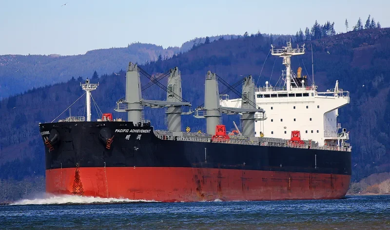 PACIFIC ACHIEVEMENT Bulk Carrier IMO 9712917 photo 9