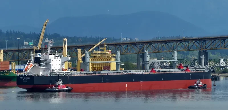 PACIFIC ACHIEVEMENT Bulk Carrier IMO 9712917 photo 10