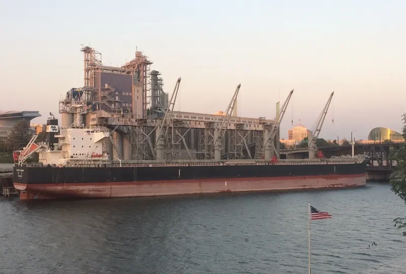 PACIFIC TALISMAN Bulk Carrier IMO 9712931 photo 2