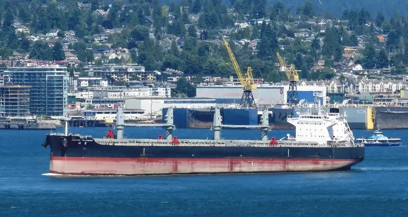 PACIFIC TALISMAN Bulk Carrier IMO 9712931 photo 3