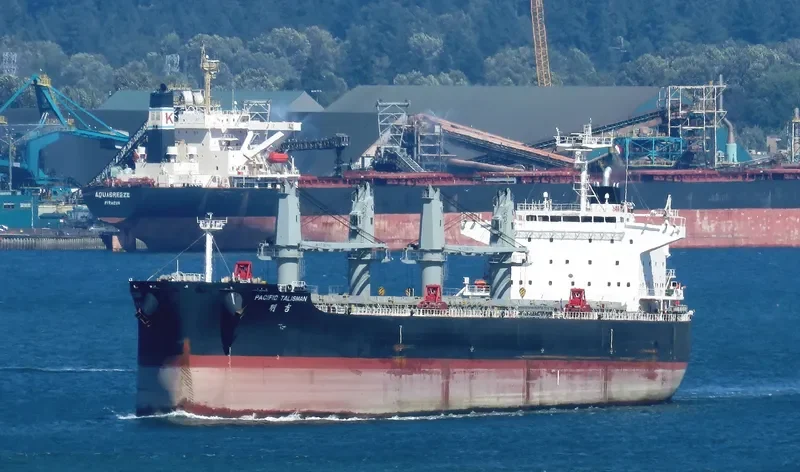 PACIFIC TALISMAN Bulk Carrier IMO 9712931 photo 4
