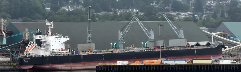 PACIFIC TALISMAN Bulk Carrier IMO 9712931 photo 5