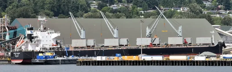PACIFIC TALISMAN Bulk Carrier IMO 9712931 photo 6