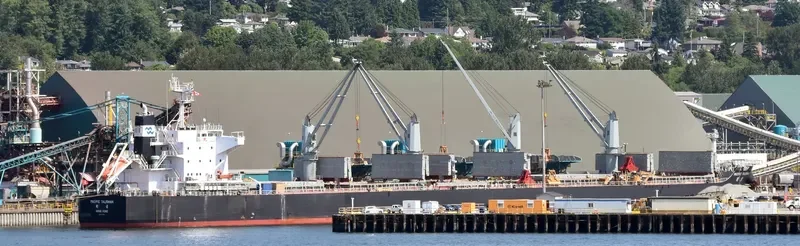 PACIFIC TALISMAN Bulk Carrier IMO 9712931 photo 7
