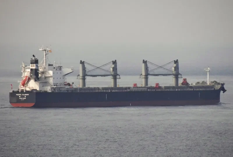 PACIFIC TALISMAN Bulk Carrier IMO 9712931 photo 8