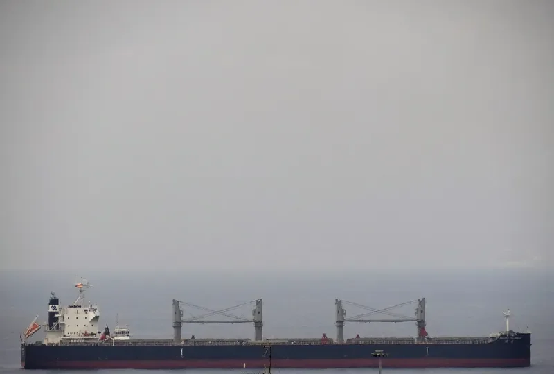 PACIFIC TALISMAN Bulk Carrier IMO 9712931 photo 9