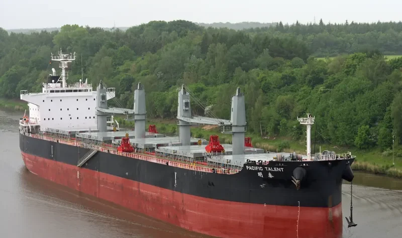 PACIFIC TALENT Bulk Carrier IMO 9712943