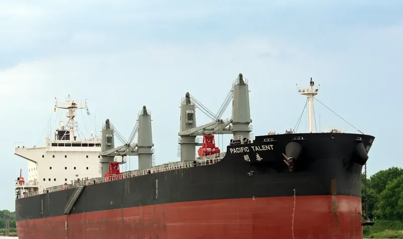 PACIFIC TALENT Bulk Carrier IMO 9712943 photo 2