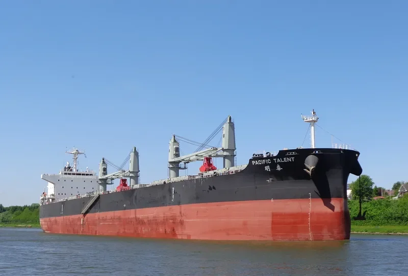PACIFIC TALENT Bulk Carrier IMO 9712943 photo 3